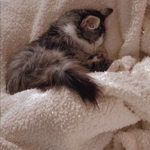 Meet your Posher, Vanessa